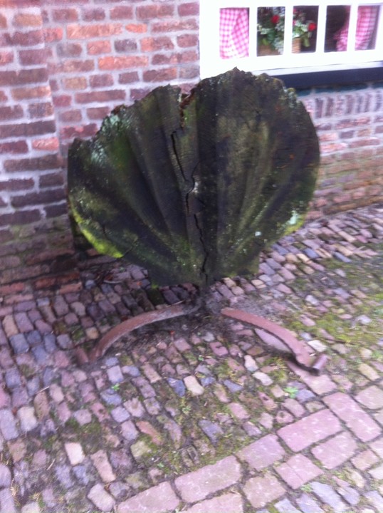 Jacobsschelp bij Jacobshoeve