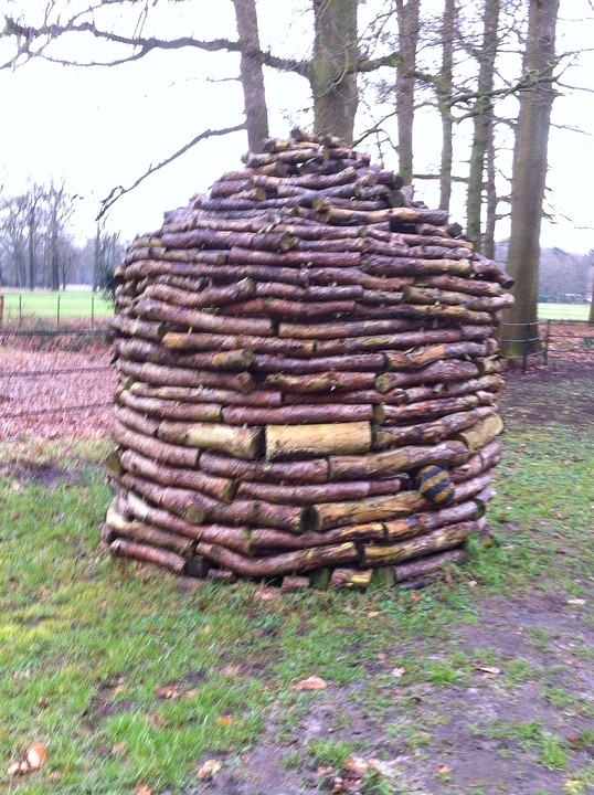 Boomhutten