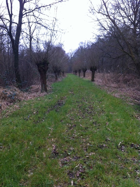 Laagbroek