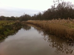 Tungelroyse Beek