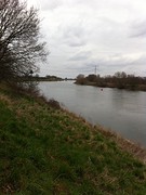 Maas