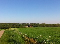 zicht op Stichting Pepijn Paulus