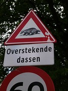 helaas niet gezien
