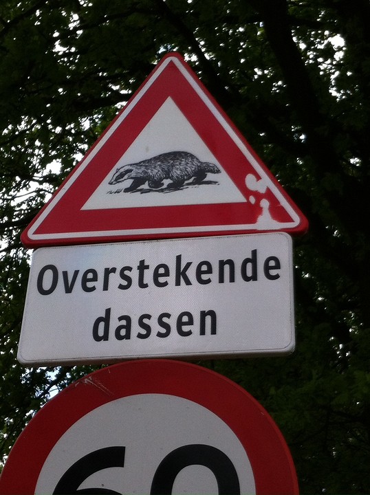 helaas niet gezien