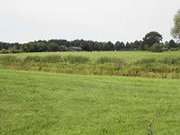 Veel gemengde bedrijven landbouw / veeteelt / gras