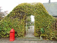 ingang huis
