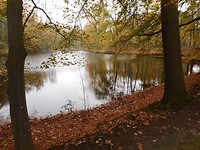 Beekzicht