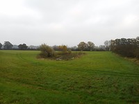 oude heggen in ere hersteld