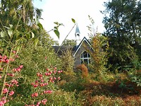 huis bij station