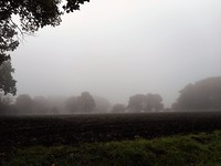 mist blijft hangen