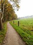 Bij het Rotboerpad