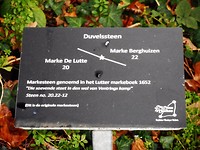 Beschrijving