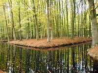 stuk door particulair bos