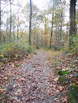 begin van Het Hulsbeek