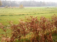 herstkleuren