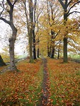 pad langs Barneveldse beek