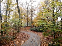 park bij scouting Amersfoort
