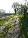 Oude Groningerweg