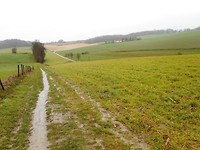 DSCN2896