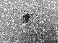 IMG_20190523_122415
