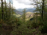 IMG_20190523_111950