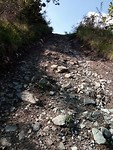 IMG_20190523_092449