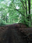 IMG_20190523_090358