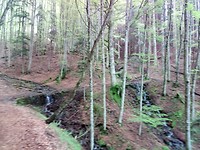 IMG_20190524_140914