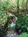 IMG_20190524_104109