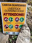 IMG_20190524_102112