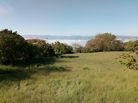 IMG_20190524_090443