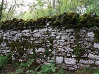 IMG_20190526_084345