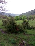 IMG_20190526_104431