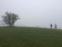 Monte Calvano 1254 m