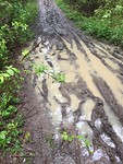 IMG-20190526-WA0010