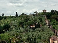 IMG_20190529_130835