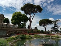 IMG_20190529_130047