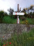 IMG_20190527_145853