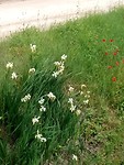IMG_20190527_142229
