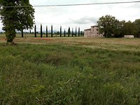 IMG_20190527_133638