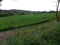 IMG_20190527_125511