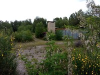 IMG_20190527_123015
