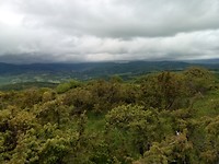 IMG_20190527_101240