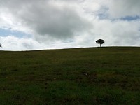IMG_20190527_101126