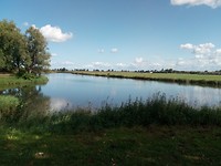Lunchplekje