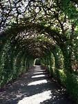 Beukenlaantje bij de kasteeltuin