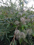 Herfst in aantocht