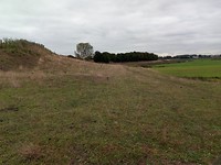Naarderbos