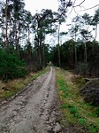 Rondebelt