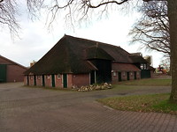 Een Dwarsritschoppe